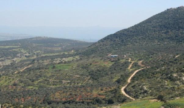 הוילה Eilabun 19Th Century Magical House In Galilee מראה חיצוני תמונה