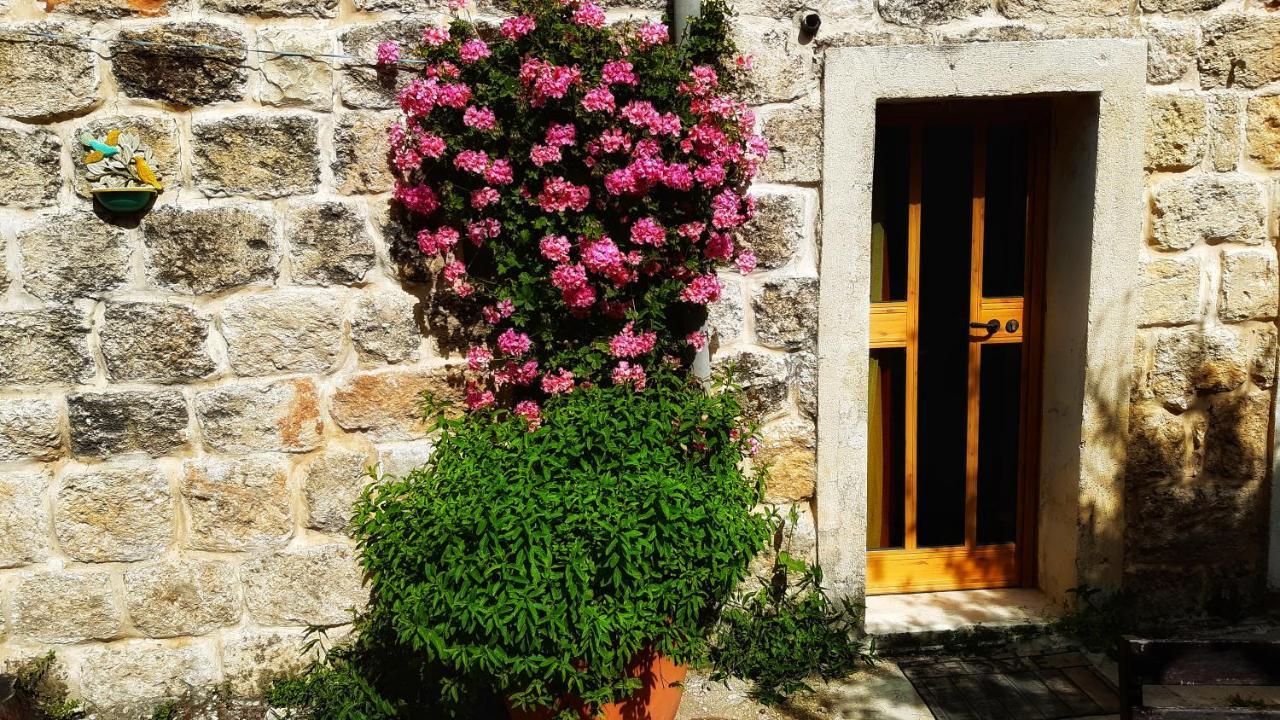 הוילה Eilabun 19Th Century Magical House In Galilee מראה חיצוני תמונה